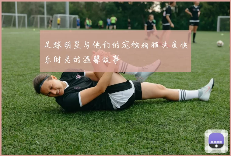 足球明星与他们的宠物狗猫共度快乐时光的温馨故事