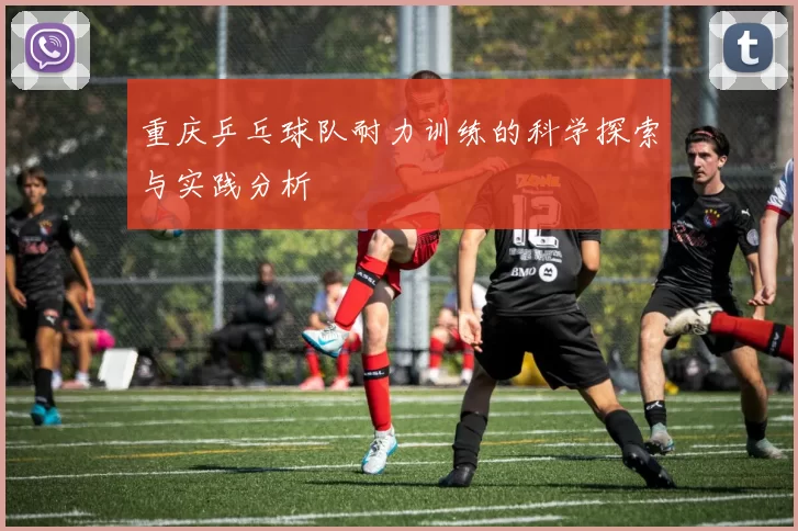 重庆乒乓球队耐力训练的科学探索与实践分析