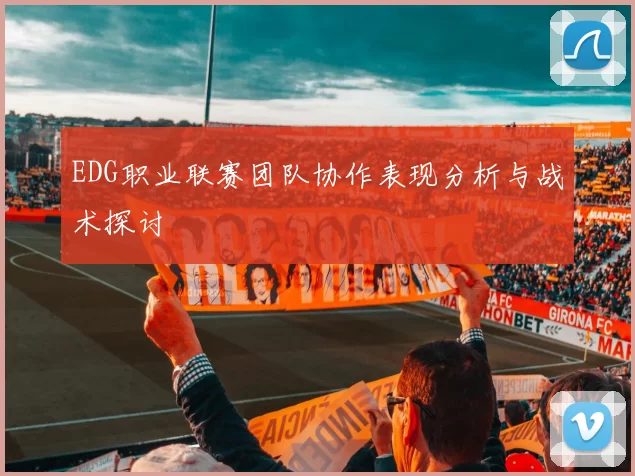 EDG职业联赛团队协作表现分析与战术探讨