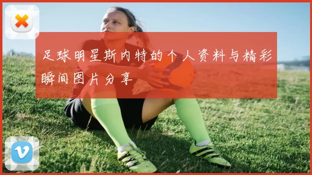 足球明星斯内特的个人资料与精彩瞬间图片分享