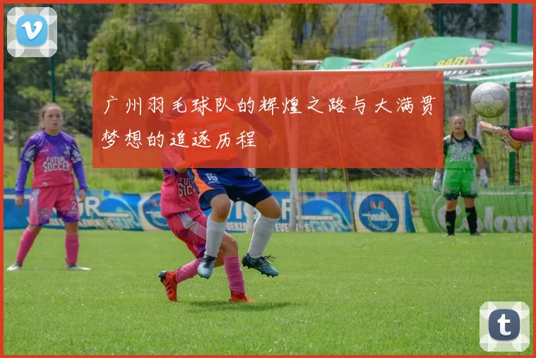广州羽毛球队的辉煌之路与大满贯梦想的追逐历程