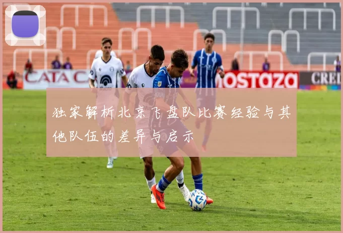 独家解析北京飞盘队比赛经验与其他队伍的差异与启示